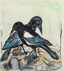 Uccelli neri