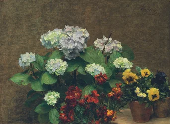 Fiori