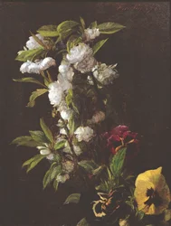 Fiori, 1876