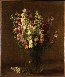 Speronella