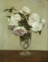 Rose rosa