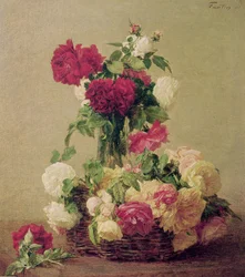 Rose, 1891