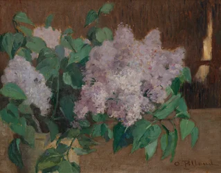Lilla