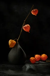 Natura morta con alchechengi