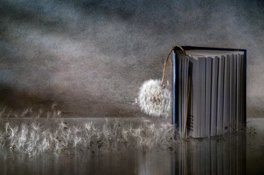 Riflessione di un libro con dente di leone