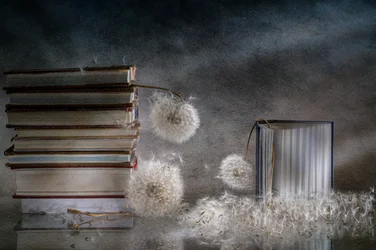Libri sognanti e denti di leone