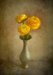 Vaso "Golden Ranunculus"