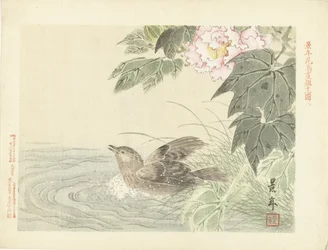 Uccello che fa il bagno vicino a un fiore rosa (Schizzi di fiori e uccelli di Keinen) (Keinen kacho gafu)