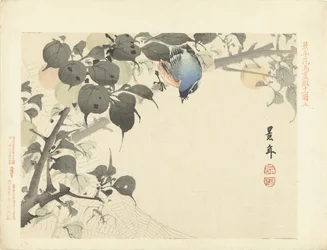 Uccello blu-arancio su un ramo che guarda un ragno (Bloemen- en vogelschetsen van Keinen)