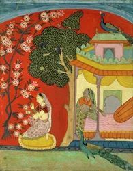 Una Signora che Coglie Fiori, Rajasthan Meridionale o Deccan, c.1675