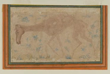 Un cavallo emaciato, da Mughal o Deccan, metà XVII secolo
