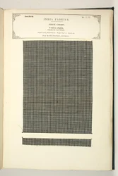 Cotone a quadri, Masulipatam, Madras, tessuti, dalla Collezione dei Produttori di Tessuti dell