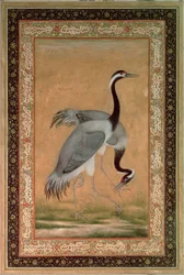 Gru di Mansur, periodo Jahangir, Mughal