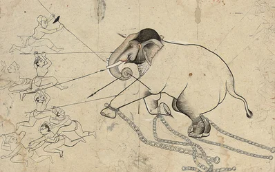 Isarda o kotah disegno preparatorio dell