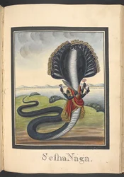 Sesha, il serpente su cui giace Vishnu