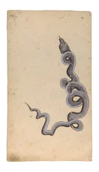 La costellazione del Drago: al-Tinnin, 1740
