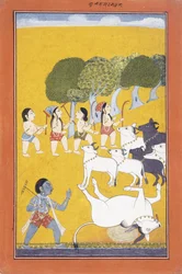 Il giovane Krishna uccide il demone Vatsasura, che venne sotto forma di vitello, c.1730-1740