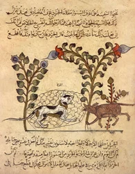 Il gatto e il topo, miniatura araba da "Kalila va dimna"