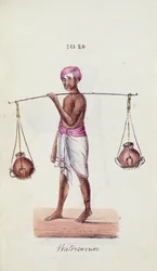 Portatore d