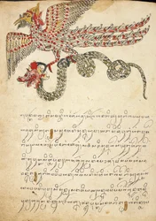 Una creatura volante che trasporta un serpente, illustrazione da 