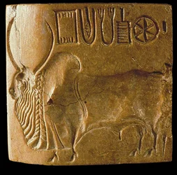 Sigillo del toro Zebu con scrittura dell