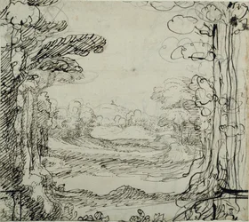 Una foresta
