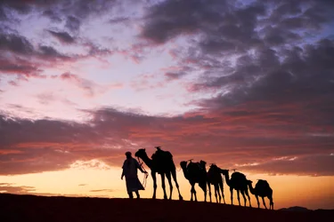 Un cammelliere guida i suoi cammelli a Erg Chebbi nel deserto a Merzouga, Marocco, 2019 (foto)