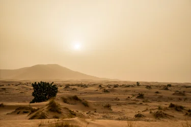 Dune di sabbia nel deserto di Erg Chebbi nel sud-est del Marocco, 2014