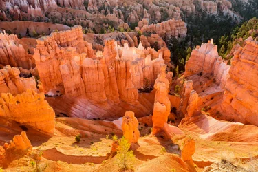 Alba sugli Hoodoos nel Bryce Canyon National Park, 2012