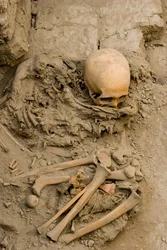 La femmina sacrificata nella sepoltura con il fagotto di mummia a Huaca El Brujo, 2005 (foto)