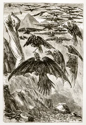 San Patrizio e gli uccelli demoniaci, da The Trias Thaumaturga, o Tre santi miracolosi d