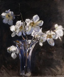 Magnolie in un vaso