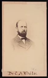 Ritratto di Charles Abiathar White 1826-1910, 1868