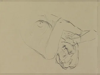 Nudo femminile reclinato