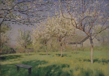 Meli in fiore, c. 1895