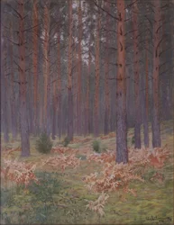 Felci, 1894