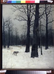 Foresta in inverno