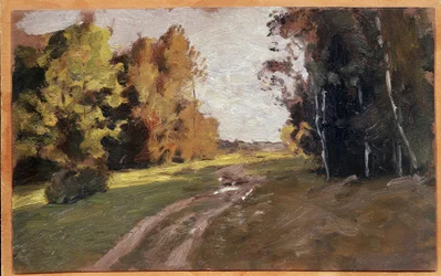 La sera, un sentiero nel bosco