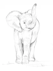 Elefantino 02