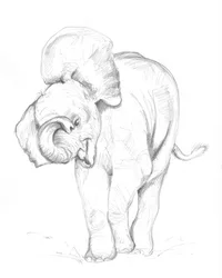 Elefantino 02