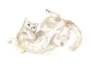 Gatto giocherellone