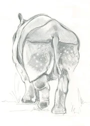 Passo gentile del rinoceronte
