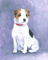 Portamento del terrier