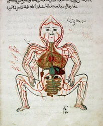 Medicina araba: 