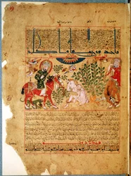 Ms. Arabe 2964 fol.19 Il dottore Anoromachus cura suo fratello morso da un serpente, da Trattato di Theriac dopo Galeno, 1217