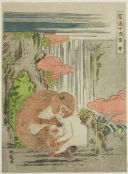 Scimmia (Saru), dalla serie "I dodici segni zodiacali alla moda (Furyu juni shi)"