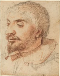 Testa di un Uomo