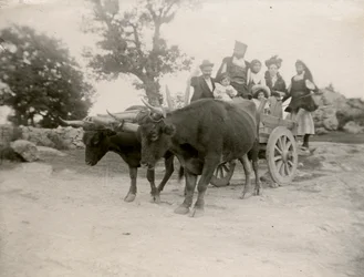 Famiglia su carro trainato da buoi, Sardegna, Italia, 1910 ca.