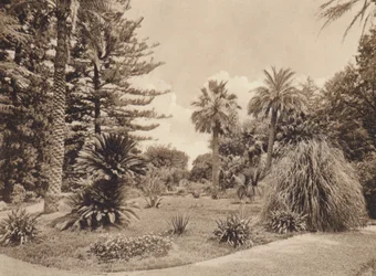 Sicilia / Sicily: Villa Tasca, Palermo (b/w photo)