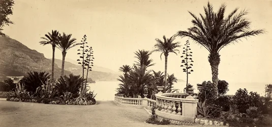 Il giardino del Casinò di Montecarlo, nel Principato di Monaco